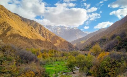 Serene Valley Oasis: A Blend of Nature's Colors