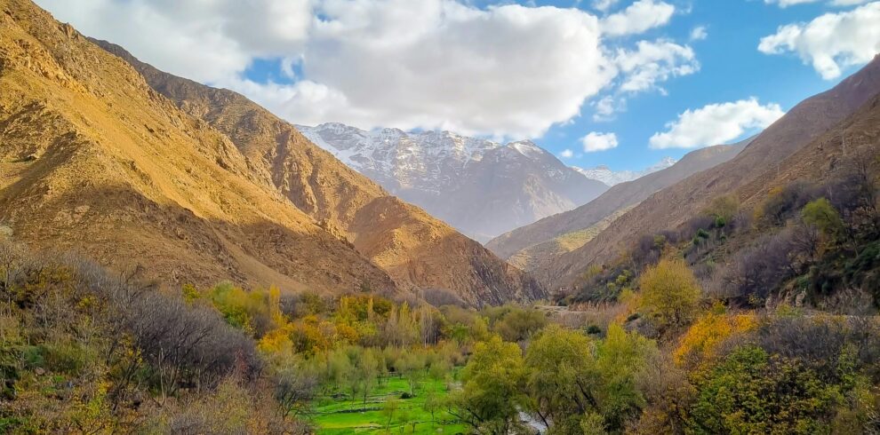 Serene Valley Oasis: A Blend of Nature's Colors