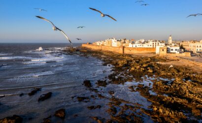 A stunning aerial capture of Essaouira, Morocco's rocky coastline and seagulls in flight during daytime.